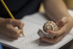A student writes on her paper while holding a seashell